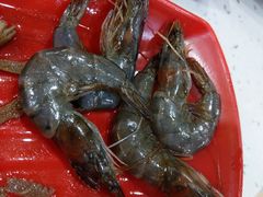 海虾-王潮活海鲜自助·蒸汽海鲜