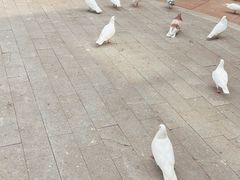 -中粮·祥云小镇