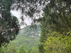 -佛慧山