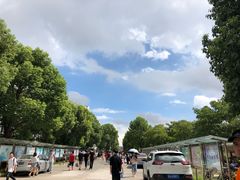-上海第二工业大学(金海路校区)