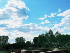 -东郊湿地公园
