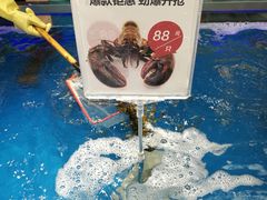 -盒马鲜生(大成店)