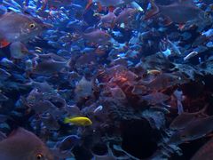 -成都浩海立方海洋公园