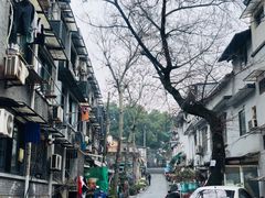 -临安城遗址(太庙遗址)