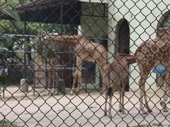 -贵州森林野生动物园