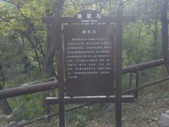 -阳台山自然风景区