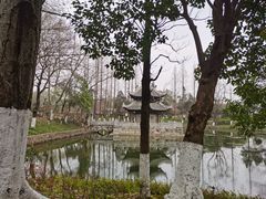 -习家池