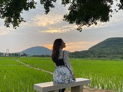 -艾米稻香小镇