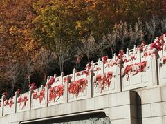 -六鼎山文化旅游区