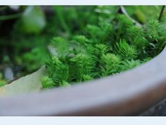 -行人小筑·茶馆(岑村火炉山分店)