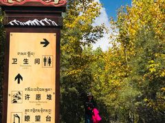 -米堆冰川