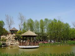 -东平国家森林公园