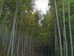 -天目湖涵田半山温泉