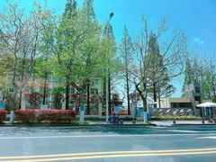 -中山路壹号传奇club·啤酒花园餐厅