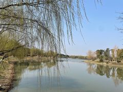 -九科绿洲