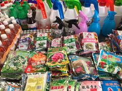 -曲阳花鸟市场(曲阳路店)