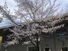 -热田神宫