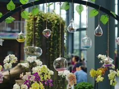 -南通洲际绿博园