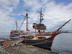 -大阪海游馆