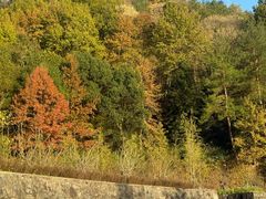 -溪口-滕头旅游景区