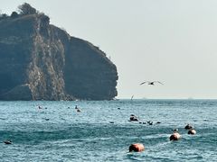 -棒棰岛宾馆景区