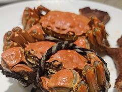 -晶丽香榭自助餐(南京大饭店)