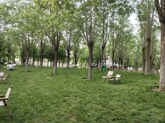 -爪吧宠物乐园 (温榆河示范区店)