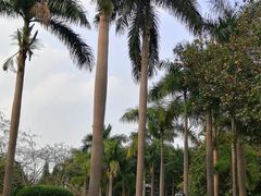 -广州雕塑公园