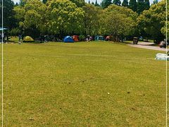 -上海滨江森林公园