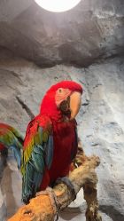 -Zoolung Zoolung动物主题公园(海信广场店)