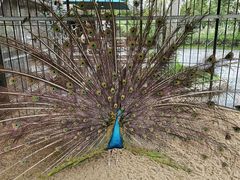 -珠海海泉湾神秘岛亲子乐园