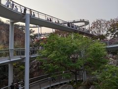 -仙岳公园