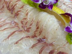 -成发鱼生