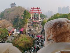 -黄鹤楼公园(黄鹤楼)