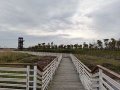 -春花秋色城市公园