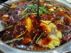 -乡土特色.冷锅鱼.牦牛肉汤锅