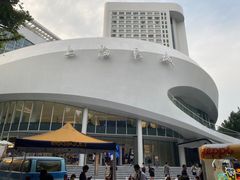 -浣熊唱片店(上海影城店)