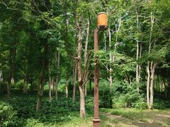 -长春市南湖公园