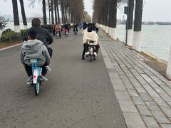 -东湖落雁景区