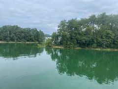 -千岛湖城中湖游船码头