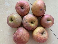 -古乐牛香·鲜牛肉牛杂火锅(高新店)