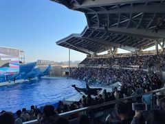 -上海海昌海洋公园