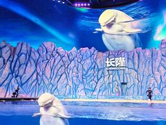 -珠海长隆海洋王国