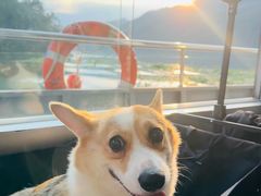 -严子陵钓台(富春江小三峡)