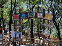 -沂蒙山旅游区云蒙景区(蒙山国家森林公园)