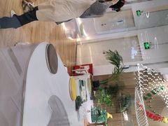 -COLOR PETS 撸猫馆·购猫·猫咖(长风大悦城店)