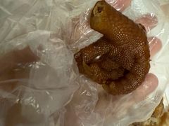 -聂记粤菜馆(鼓西路店)