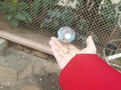 -南宫五洲植物乐园