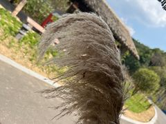 -东钱湖旅游度假区