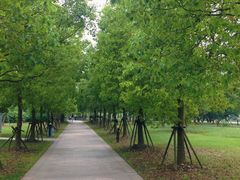 -上海滴水湖皇冠假日酒店